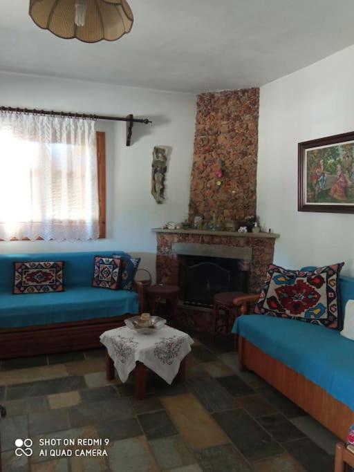 Persefoni'S Traditional House Promirion エクステリア 写真